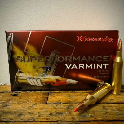 Hornady Superformance 243 Winchester Ammo 75 Grain V-Max
