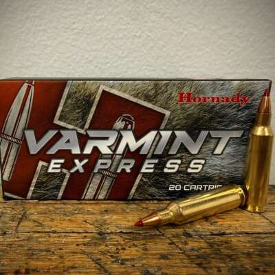 Hornady Varmint Express 22-250 Remington Ammo 55 Grain V-Max